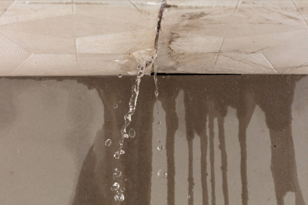 Professional Water Damage Repair technician working in New Caney, TX